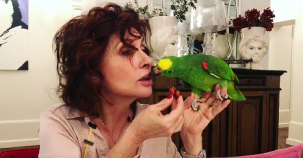 Alda D’Eusanio ci ricasca e pubblica un video mentre il suo pappagallo Giorgio prende il cibo dalla sua bocca.