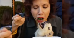 Alda D’Eusanio, il suo cane mangia nel piatto co lei. Il video fa il giro del web, criticata per la scelta