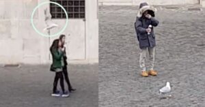 Gabbiano ghiotto ruba il gelato ai turisti che passeggiano in Piazza Montecitorio. Il video è esilarante.