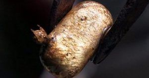 Trova una pepita d’oro del valore di 60.000 euro con un metal detector