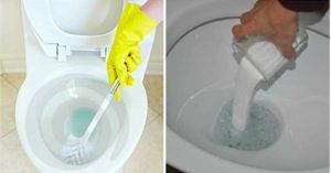 6 rimedi casalinghi per eliminare il cattivo odore dopo essere andati in bagno