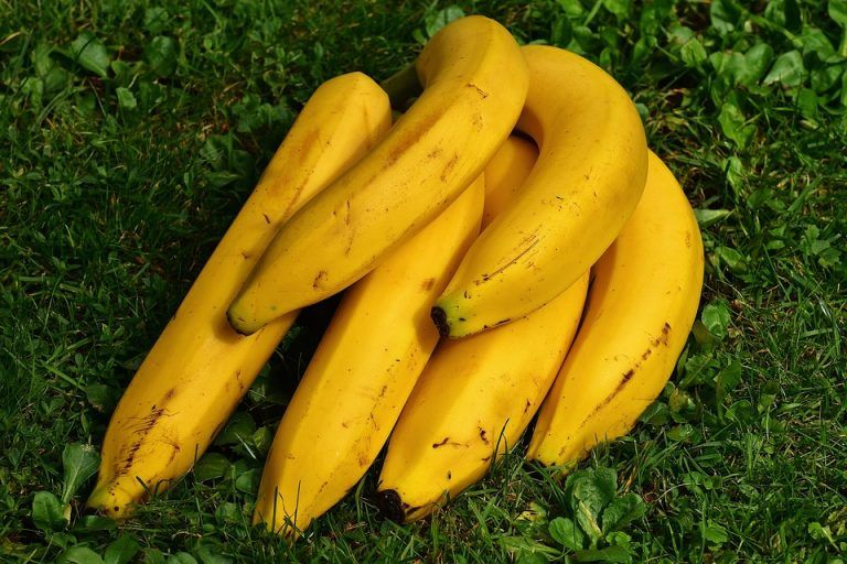 Cosa succede se mangi 2 banane al giorno per 1 mese