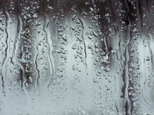 Pulire il Box doccia di vetro per eliminare calcare e aloni
