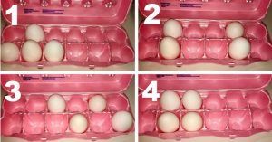 Test: La disposizione delle uova che scegli rivela la tua forza nascosta.