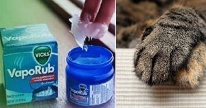 Modi inaspettati in cui puoi usare il Vicks VapoRub. 3 trucchi efficaci e semplici che non sapevi