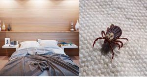 5 trucchi per disinfettare la tua camera da letto, sarà priva di polvere e batteri!