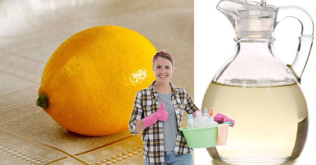 Come fare aceto con odore di arancia e cannella o limone e menta per pulire casa e farle avere un odore fantastico!