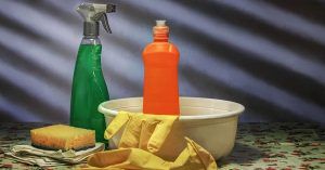 Il prodotto che hai a casa ed è perfetto per pulire e disinfettare il bagno o la cucina