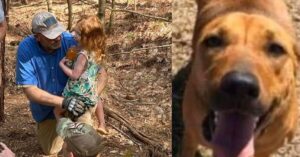 Bambina di 4 anni si perde nel bosco. Ritrovata dopo 3 giorni grazie al cane che l’ha riscaldata e si è fatto sentire dai soccorritori – LE FOTO