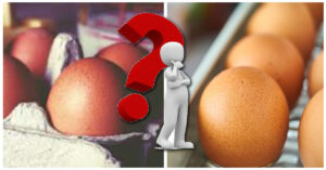 Le uova vanno messe in frigo dopo l’acquisto? Ecco la verità!