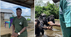 Hanno abbandonato 60 scimmie su un’isola dopo averle inoculate con l’epatite. Ma il loro custode è rimasto con loro