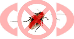 Come combattere gli scarafaggi senza usare insetticidi