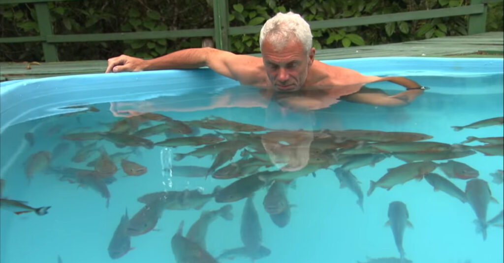 Un uomo è saltato in una piscina piena di piranha, quello che è successo ha lasciato tutti senza fiato