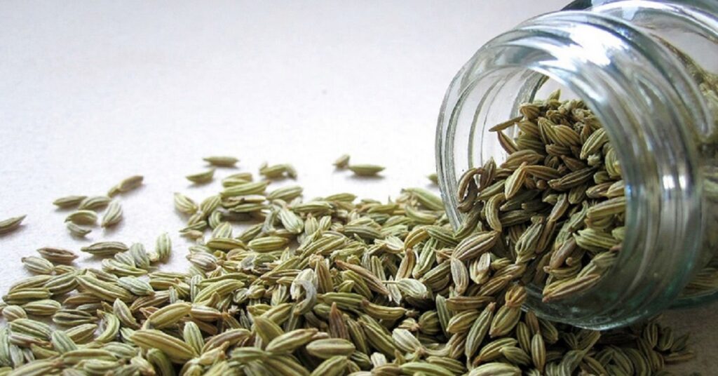 Scopri le proprietà benefiche dei semi di finocchio per la tua salute