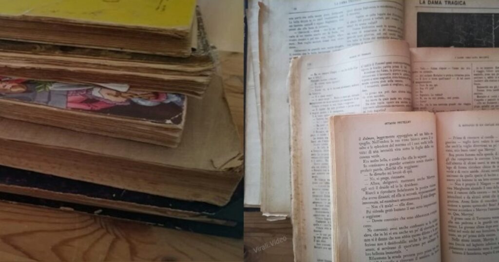 Elimina il cattivo odore dai vecchi libri con un piccolo ingrediente: ecco il trucchetto fatto in casa