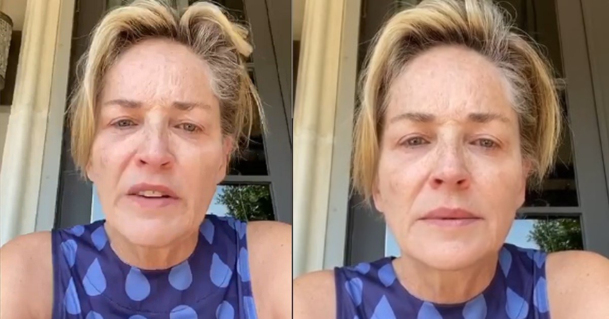 La sorella di Sharon Stone ricoverata in ospedale, ha contratto il Covid-19, il messaggio di Sharon e il suo appello a chi la segue. La sorella di Sharon Stone ricoverata in ospedale, ha contratto il Covid-19, il messaggio di Sharon e il suo appello a chi la segue.