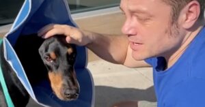 Lo ha annunciato con un post sui social: lacrime e dolore per Tiziano Ferro, il suo cane Beau “non ce l’ha fatta”