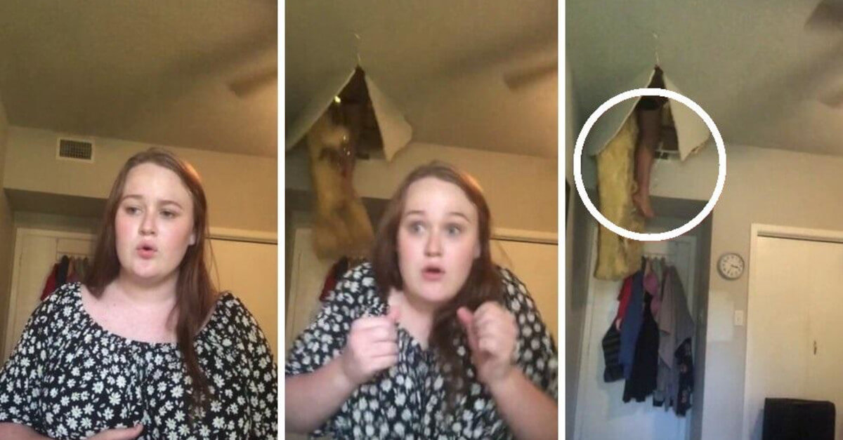 Stava registrando una canzone per TikTok quando sua madre è caduta dal soffitto. Il video è diventato virale! Stava registrando una canzone per TikTok quando sua madre è caduta dal soffitto. Il video è diventato virale!