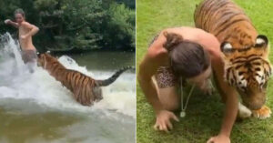 Il ‘Tarzan moderno’: in un video gioca con una tigre ed è già virale su Instagram [VIDEO]