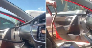 La donna si spaventa quando vede un serpente nel vano portaoggetti dell’auto. Ma guardate come è stato salvato