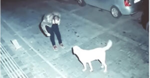 L’uomo ubriaco balla con un cane randagio e finisce per adottarlo! [VIDEO]
