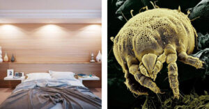 Ecco come sbarazzarti dei batteri che si annidano nel tuo letto