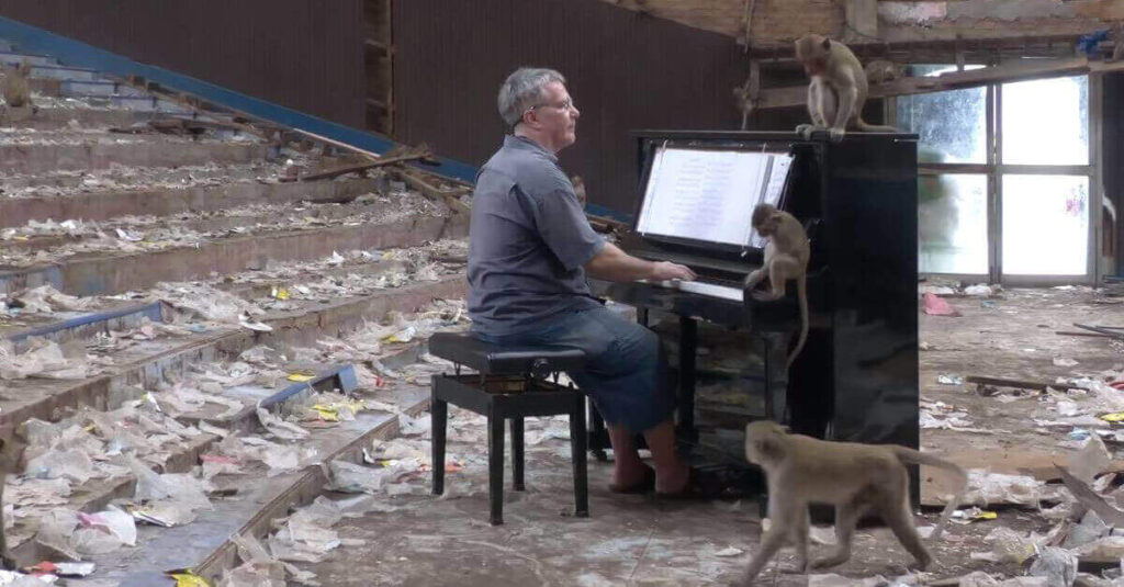 Il pianista Paul Barton calma le scimmie affamate con la sua musica [VIDEO]