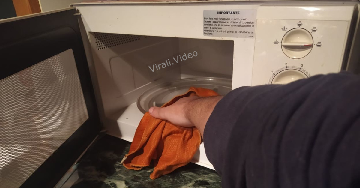 4 trucchi per pulire e disinfettare il forno a microonde: semplici, economici e veloci! 4 trucchi per pulire e disinfettare il forno a microonde: semplici, economici e veloci!