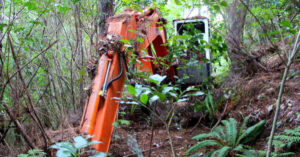 L’uomo trova un escavatore abbandonato nella foresta e riceve una grossa sorpresa quando si avvicina [VIDEO]