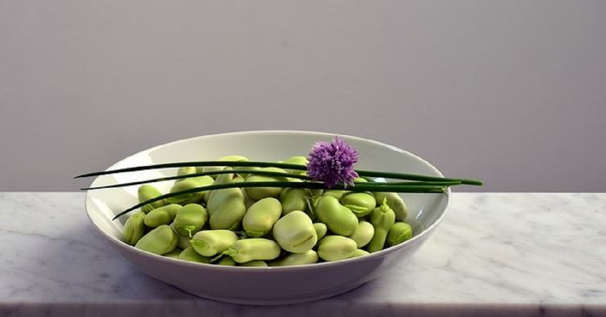 Alimenti necessari per ottenere la giusta razione giornaliera di ferro ed evitare l’anemia Alimenti necessari per ottenere la giusta razione giornaliera di ferro ed evitare l’anemia