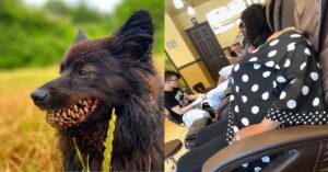 17 foto che possono confondere completamente la tua mente