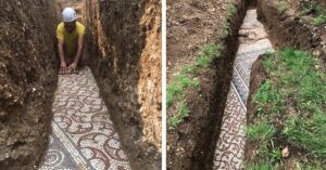 Italia: Pochi mesi fa un antico mosaico romano in ottime condizioni è stato scoperto sotto un vigneto