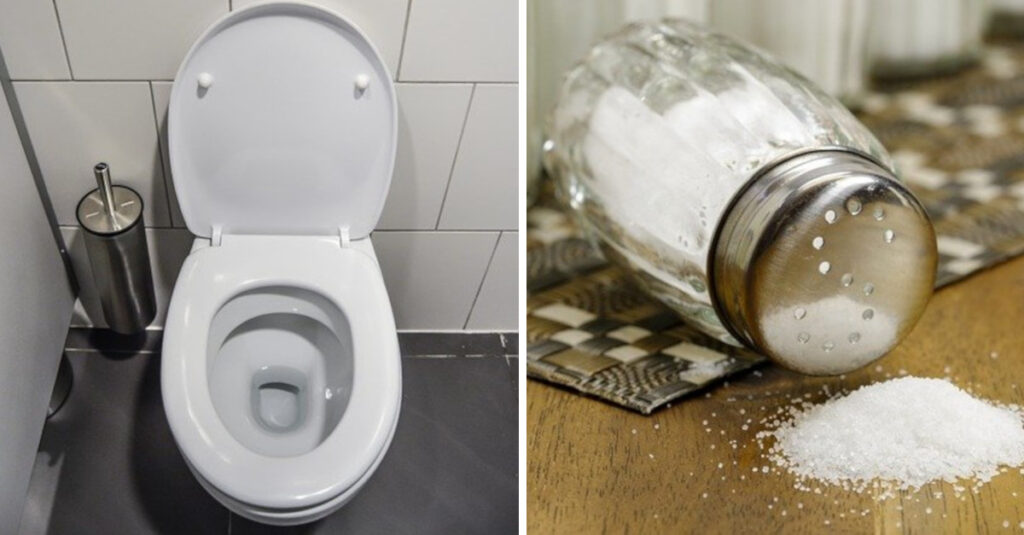 Il motivo per cui dovresti pulire il WC con il sale