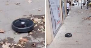 Passante ritrova un robot fuggito da casa che aspira le foglie in strada: il video fa il giro dei social