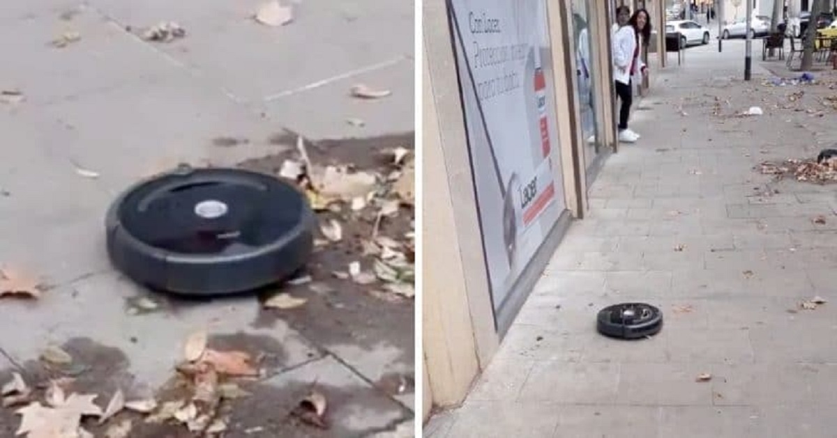 Passante ritrova un robot fuggito da casa che aspira le foglie in strada: il video fa il giro dei social Passante ritrova un robot fuggito da casa che aspira le foglie in strada: il video fa il giro dei social