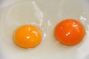 Perché il tuorlo del’uovo a volte e giallo e a volte è scuro?