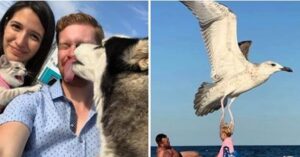 13 persone che hanno avuto un ottimo tempismo a  cogliere lo scatto perfetto