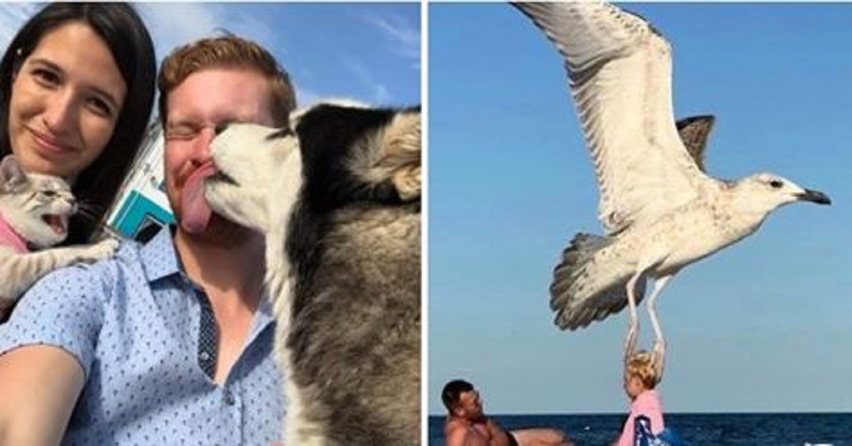 13 persone che hanno avuto un ottimo tempismo a cogliere lo scatto perfetto 13 persone che hanno avuto un ottimo tempismo a cogliere lo scatto perfetto