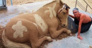 15 sculture di sabbia iperrealistiche che sembrano dei veri animali