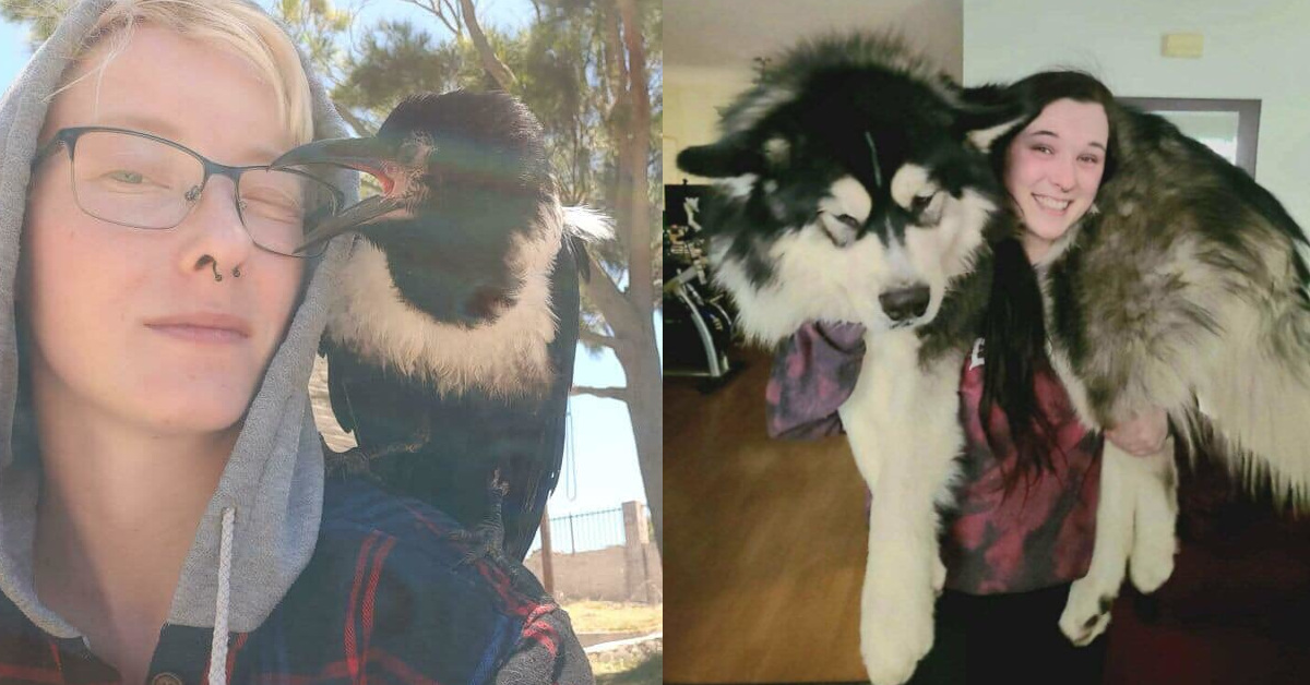 21 persone che hanno pubblicano alcune strane foto con i loro animali sulle spalle 21 persone che hanno pubblicano alcune strane foto con i loro animali sulle spalle
