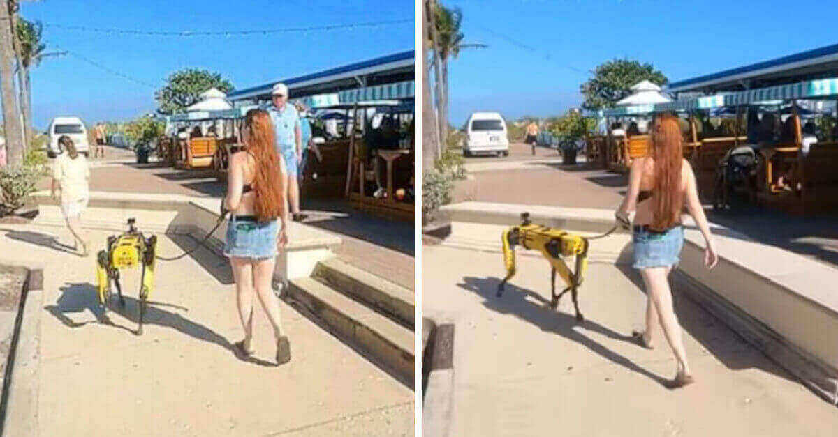 Riprendono una donna che cammina con il suo cane robot Boston Dynamics; il futuro è arrivato Riprendono una donna che cammina con il suo cane robot Boston Dynamics; il futuro è arrivato
