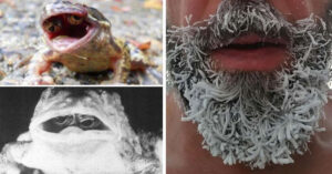 17 Foto affascinanti di cose che difficilmente vedremo nella nostra vita
