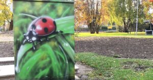 12 foto di uno street artist che ha verniciato ad arte delle cabine dell’elettricità