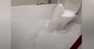 Si allaga la casa di schiuma che fuoriesce misteriosamente dal water del bagno e posta il video