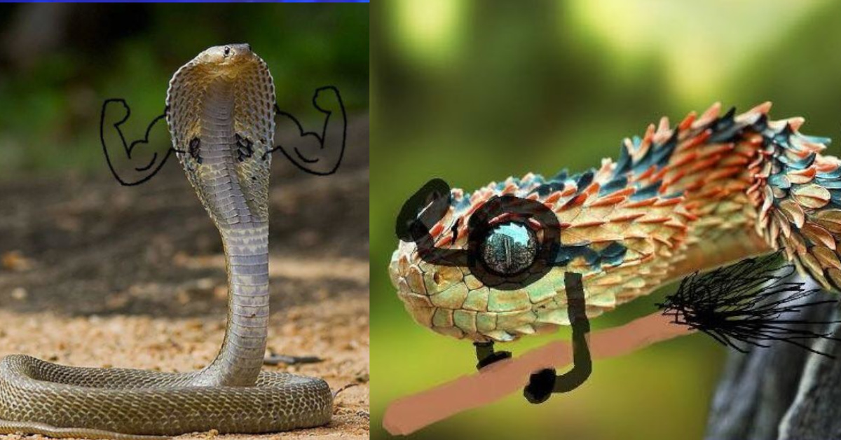 29 serpenti che alcuni utenti del web hanno reso divertenti disegnandogli le braccia 29 serpenti che alcuni utenti del web hanno reso divertenti disegnandogli le braccia