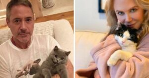 19 Celebrità in posa con i loro gatti che amano alla follia