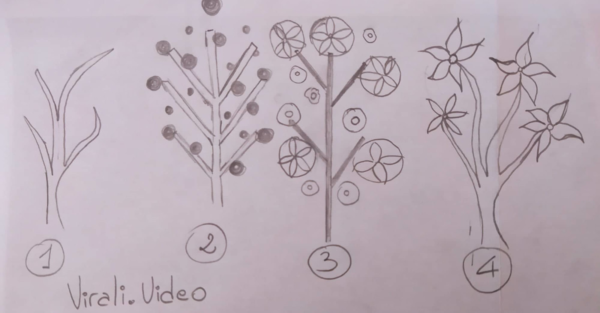 TEST: Scopri quale emozione prevale nella tua vita con il test dell’albero TEST: Scopri quale emozione prevale nella tua vita con il test dell’albero
