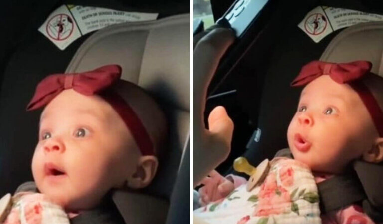 La bambina riconosce la zia su FaceTime e inizia a raccontarle tutto della sua giornata La bambina riconosce la zia su FaceTime e inizia a raccontarle tutto della sua giornata
