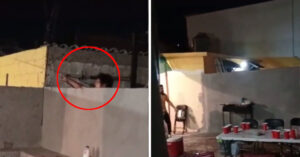 La donna lancia l’acqua nella casa del vicino mentre fa festa, il video fa il giro del mondo