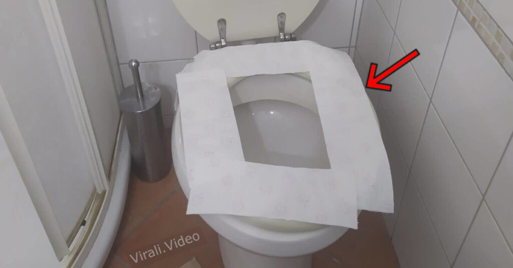 3 motivi per cui non dovresti coprire la tazza del water con la carta igienica